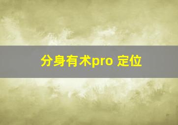 分身有术pro 定位